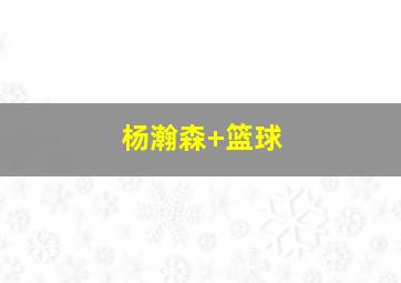 杨瀚森 篮球